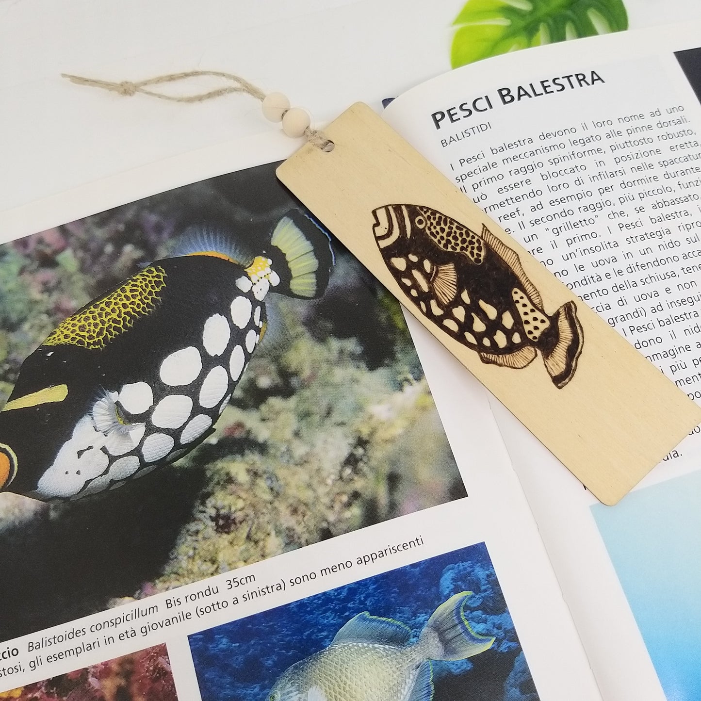 SEGNALIBRO "PESCE BALESTRA“