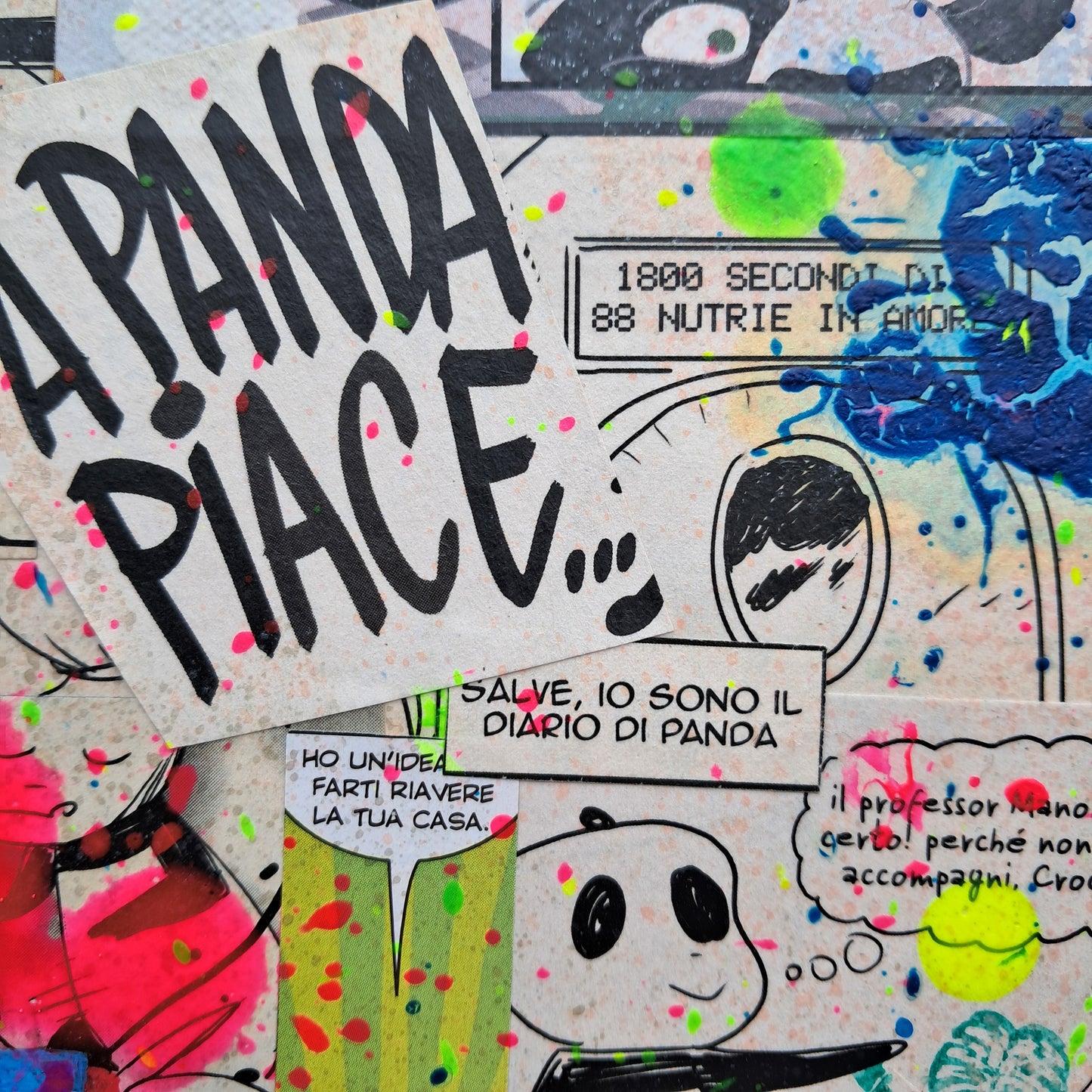 QUADRO "EVOLUZIONE?" PANDA 80X80